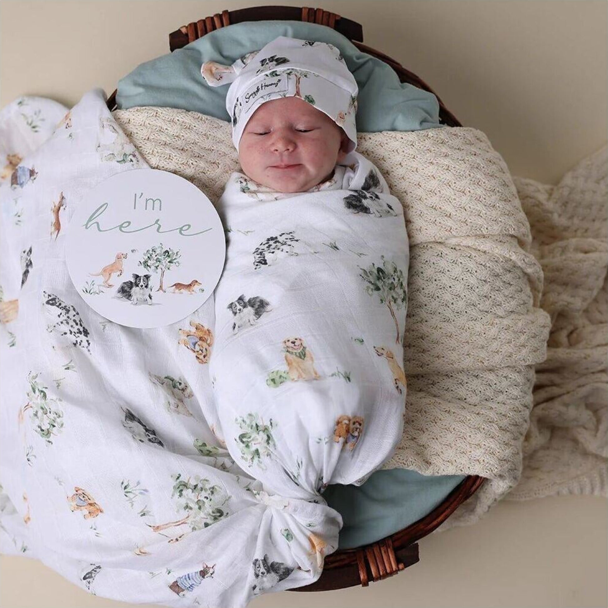 Snuggle Hunny Dog Park Organic Muslin Wrap | Aster & Ruby