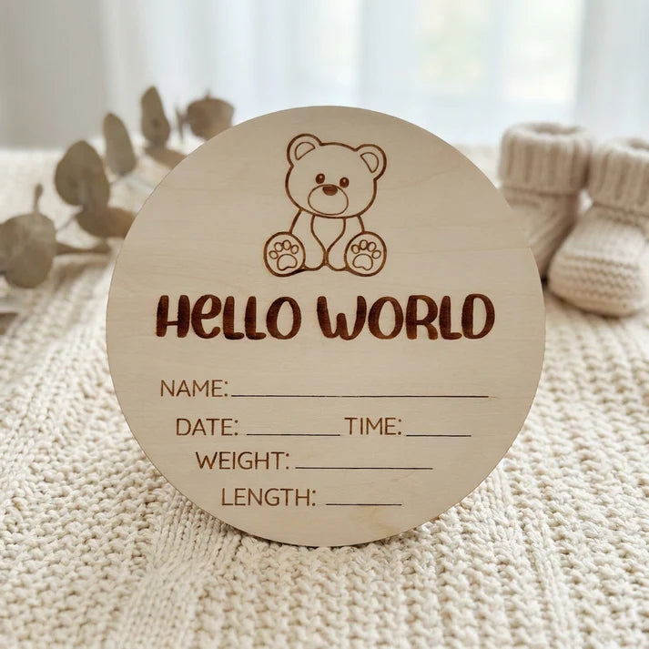 hello world teddy bear