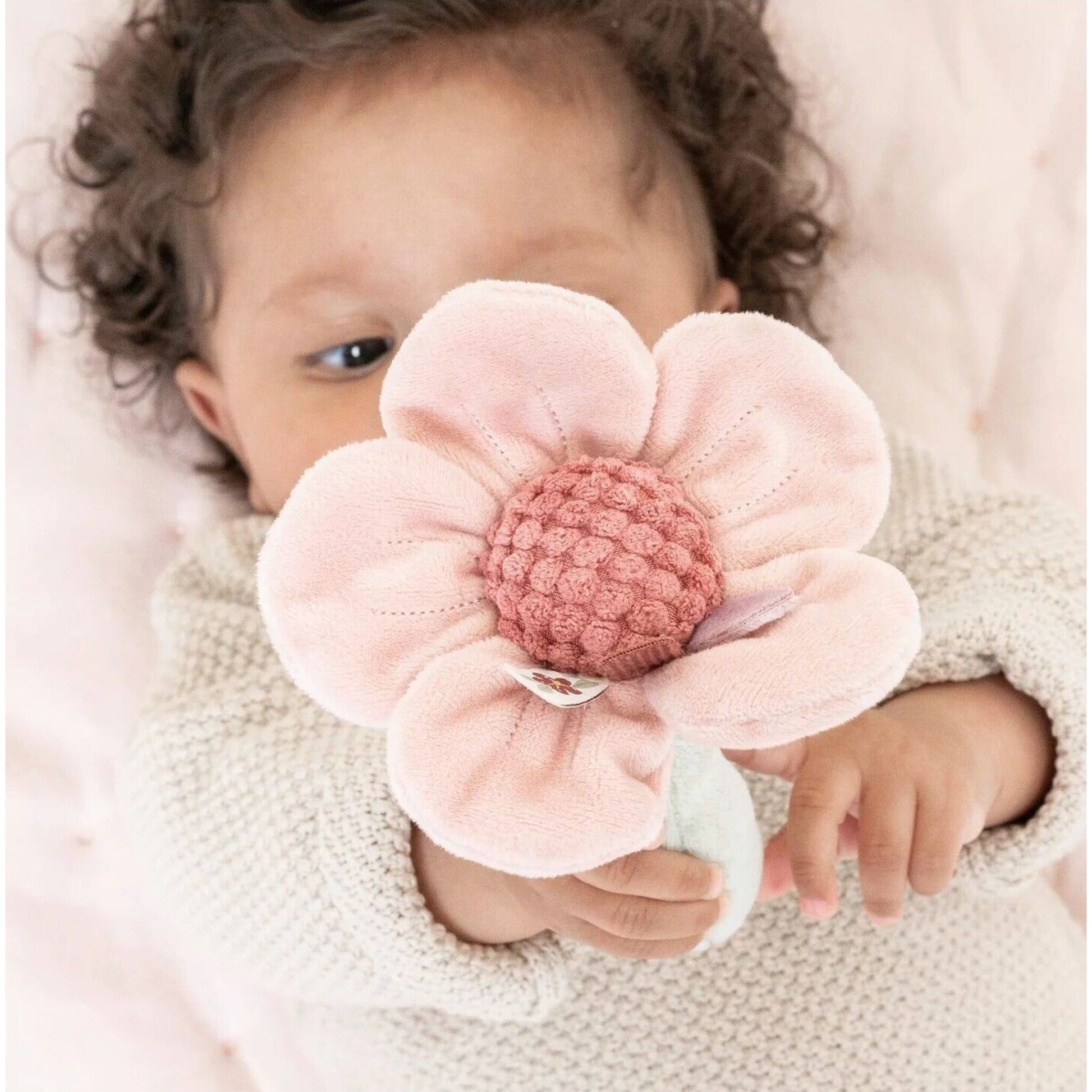 Little Dutch Fairy Garden Rattle Flower | Aster & Ruby