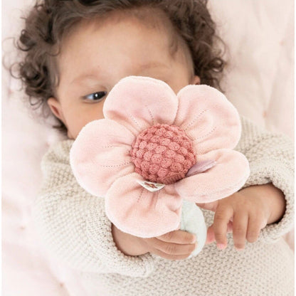 Little Dutch Fairy Garden Rattle Flower | Aster & Ruby