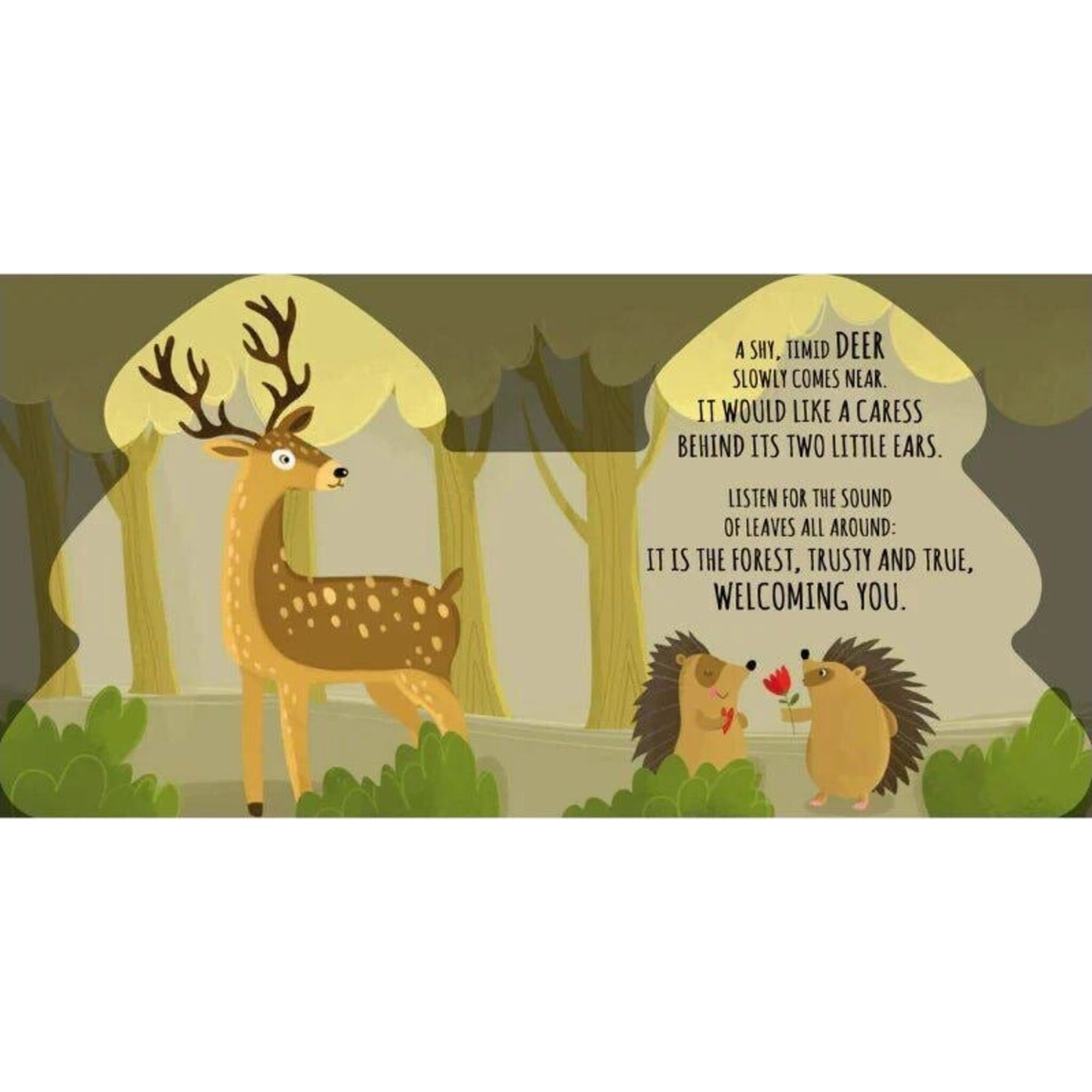 Sassi Friends of the Forest | Aster & Ruby