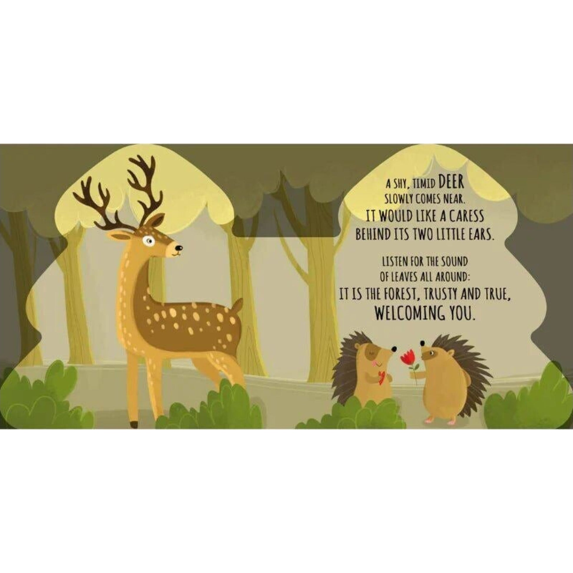 Sassi Friends of the Forest | Aster & Ruby