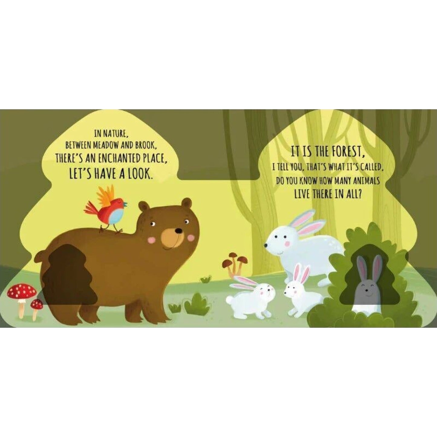 Sassi Friends of the Forest | Aster & Ruby