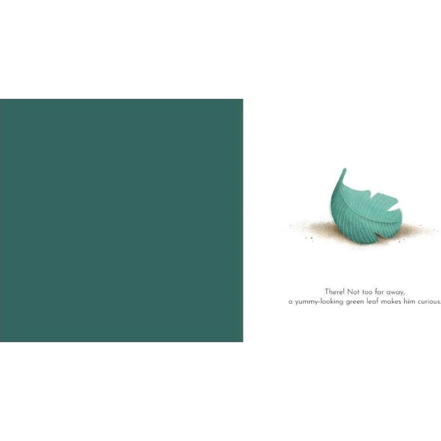 Sassi Gnawy's Patience | Aster & Ruby