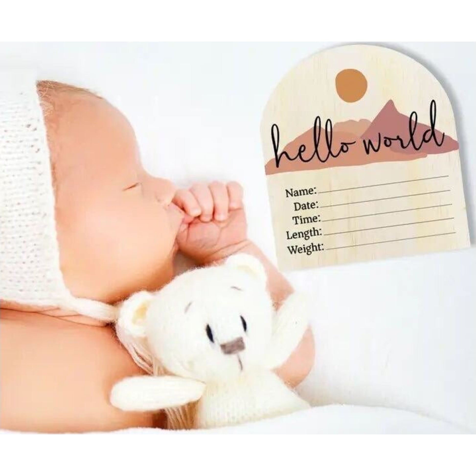Timber Tinkers Hello World Desert Wooden Arch Birth Disc | Aster & Ruby
