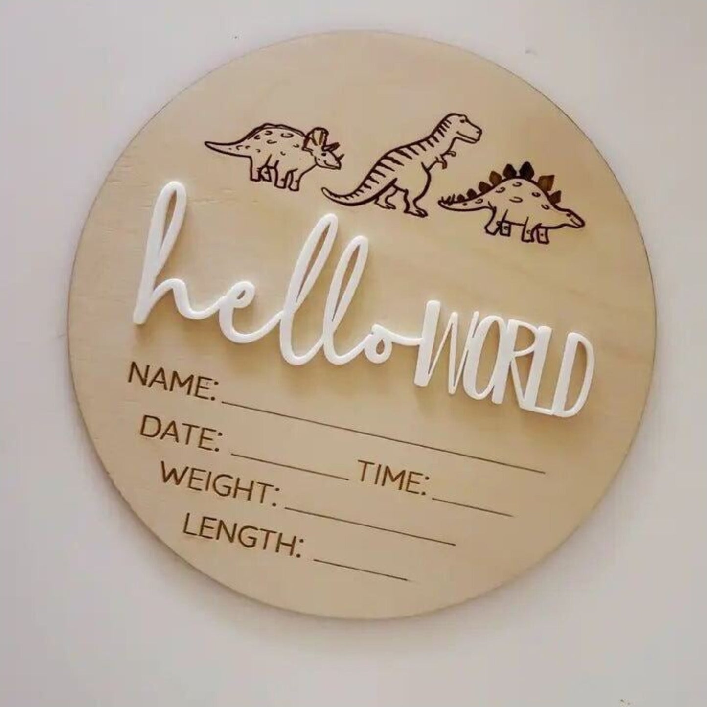 Timber Tinkers Hello World Dinos | Aster & Ruby