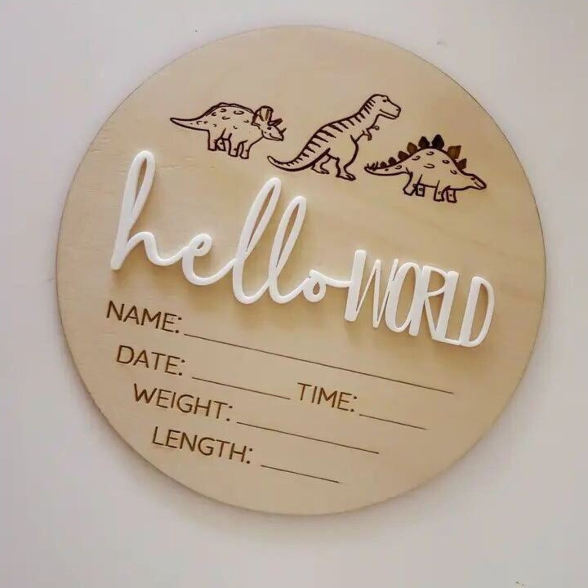 Timber Tinkers Hello World Dinos | Aster & Ruby