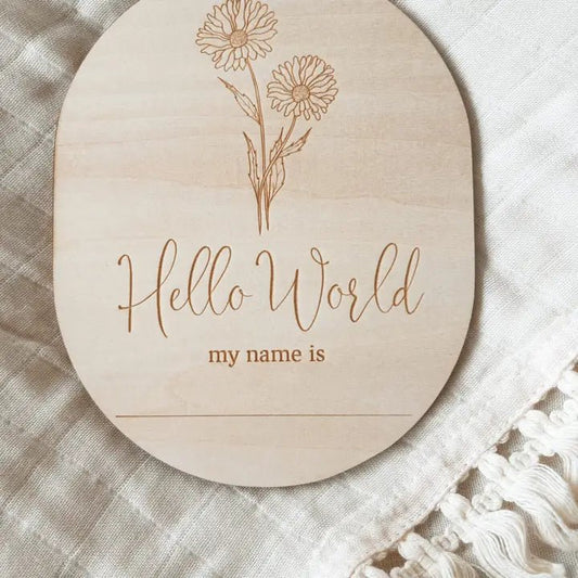 Hello World My Name Is Birth Flower Annoucement Disc - Aster & Ruby