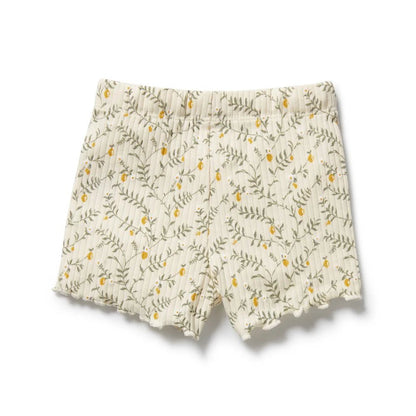 Lemon Leaf Organic Short - Aster & Ruby