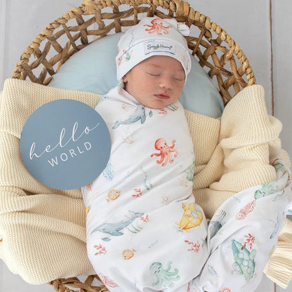 Little Subs & Aqua Reversible Milestone Cards