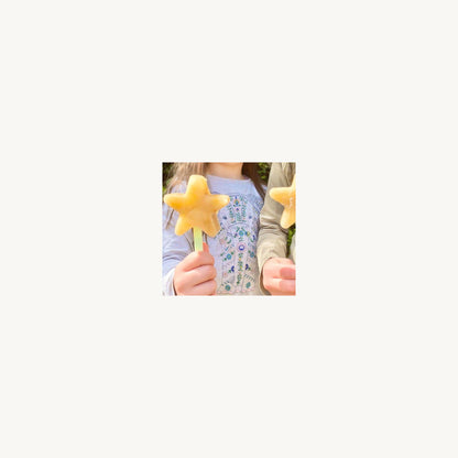 Little Woods Little Woods Starsicle Silicone Mold Mango | Aster & Ruby