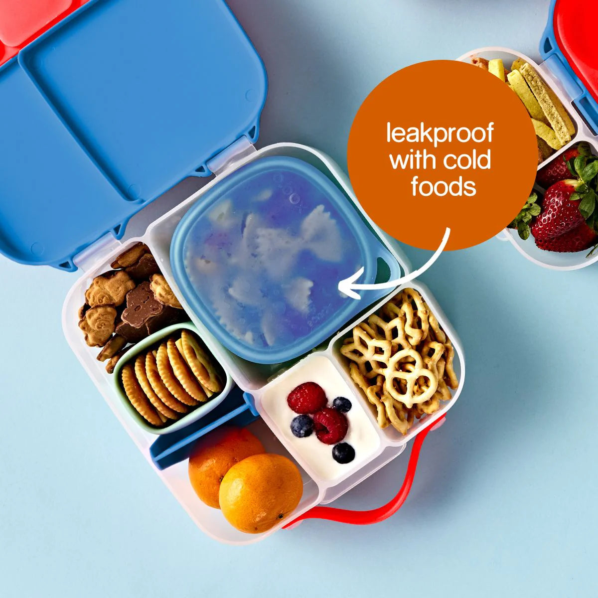 Ocean Lunch Tub