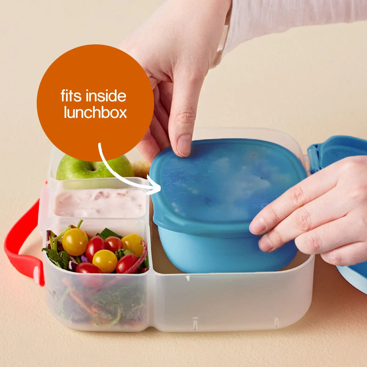 Ocean Lunch Tub