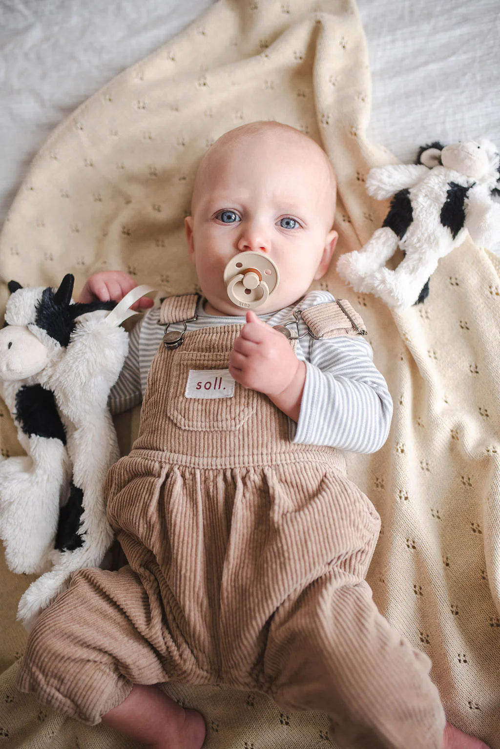 Mini Clover the Cow Rattle Black