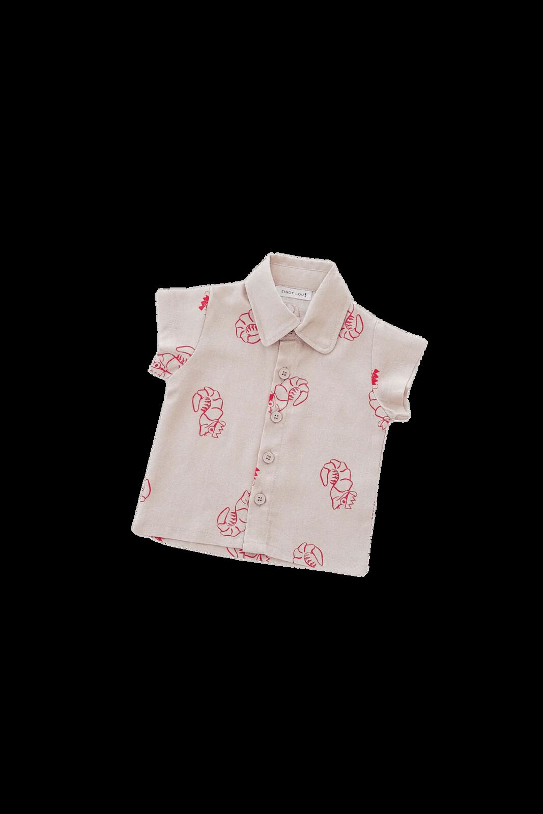 SHIRT | SHAWN THE PRAWN – 6-12m, 1, 2, 3 – Aster & Ruby