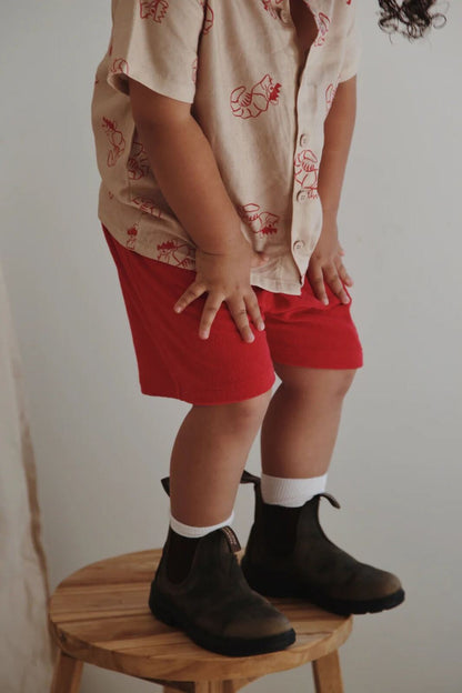 SHORTS | SHAWN THE PRAWN – 6-12m, 1, 2, 3 – Aster & Ruby