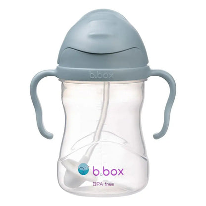 Sippy Cup - Aster & Ruby