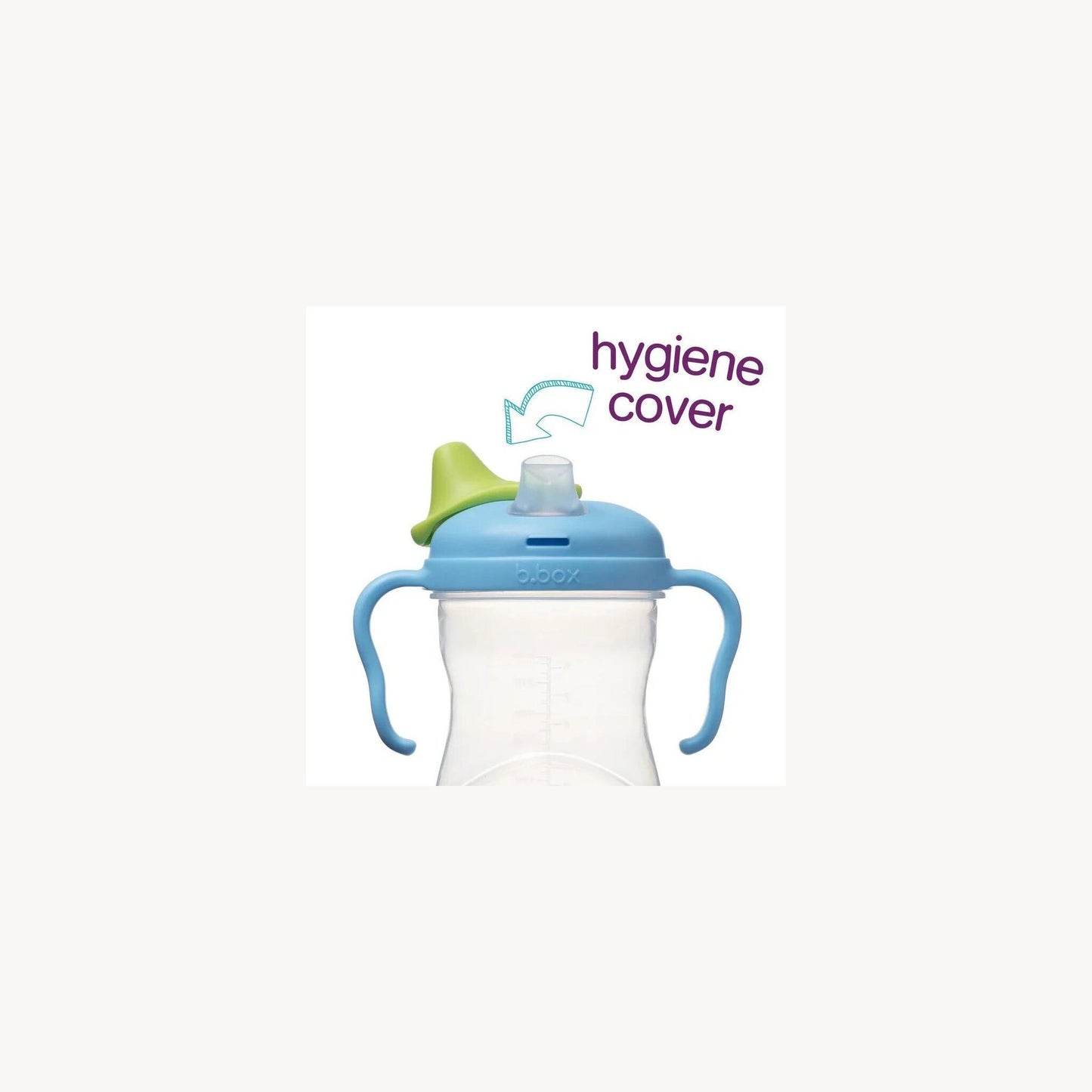 b.box Spout Cup | Aster & Ruby