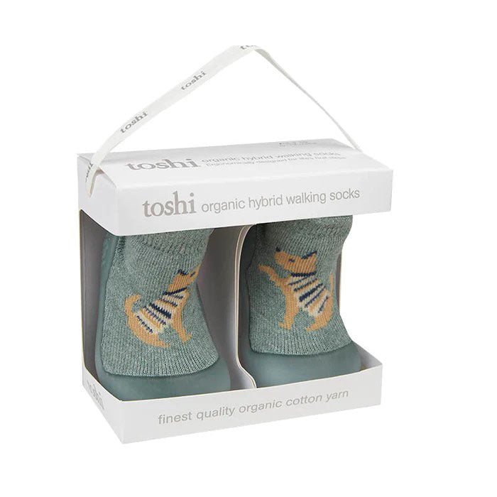 Toshi Lapdog Hybrid Walking Shoes-Aster & Ruby