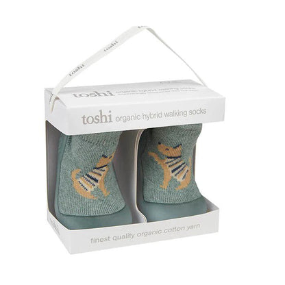 Toshi Lapdog Hybrid Walking Shoes-Aster & Ruby