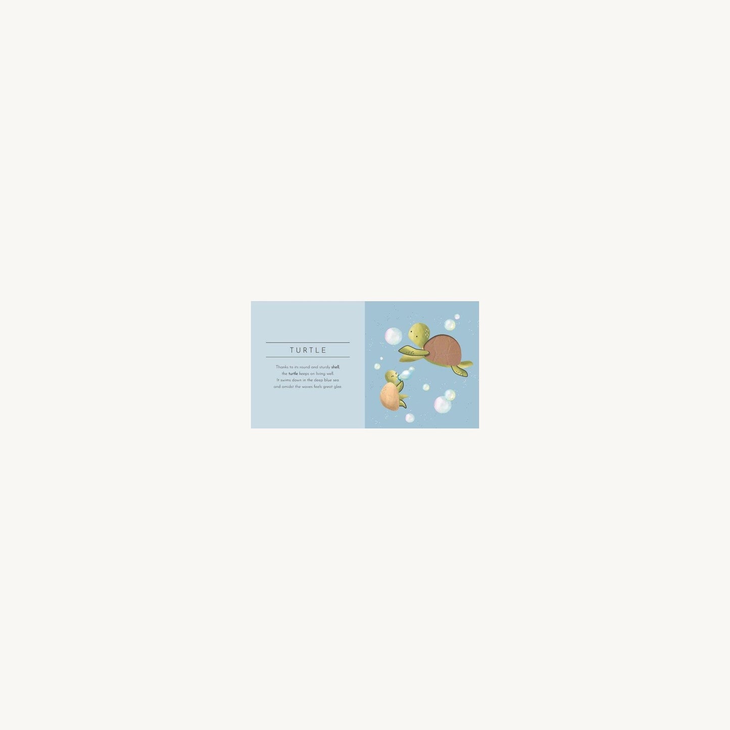 Sassi Junior Touch & Feel Pocket Book Animals | Aster & Ruby