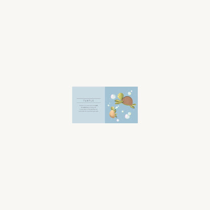 Sassi Junior Touch & Feel Pocket Book Animals | Aster & Ruby