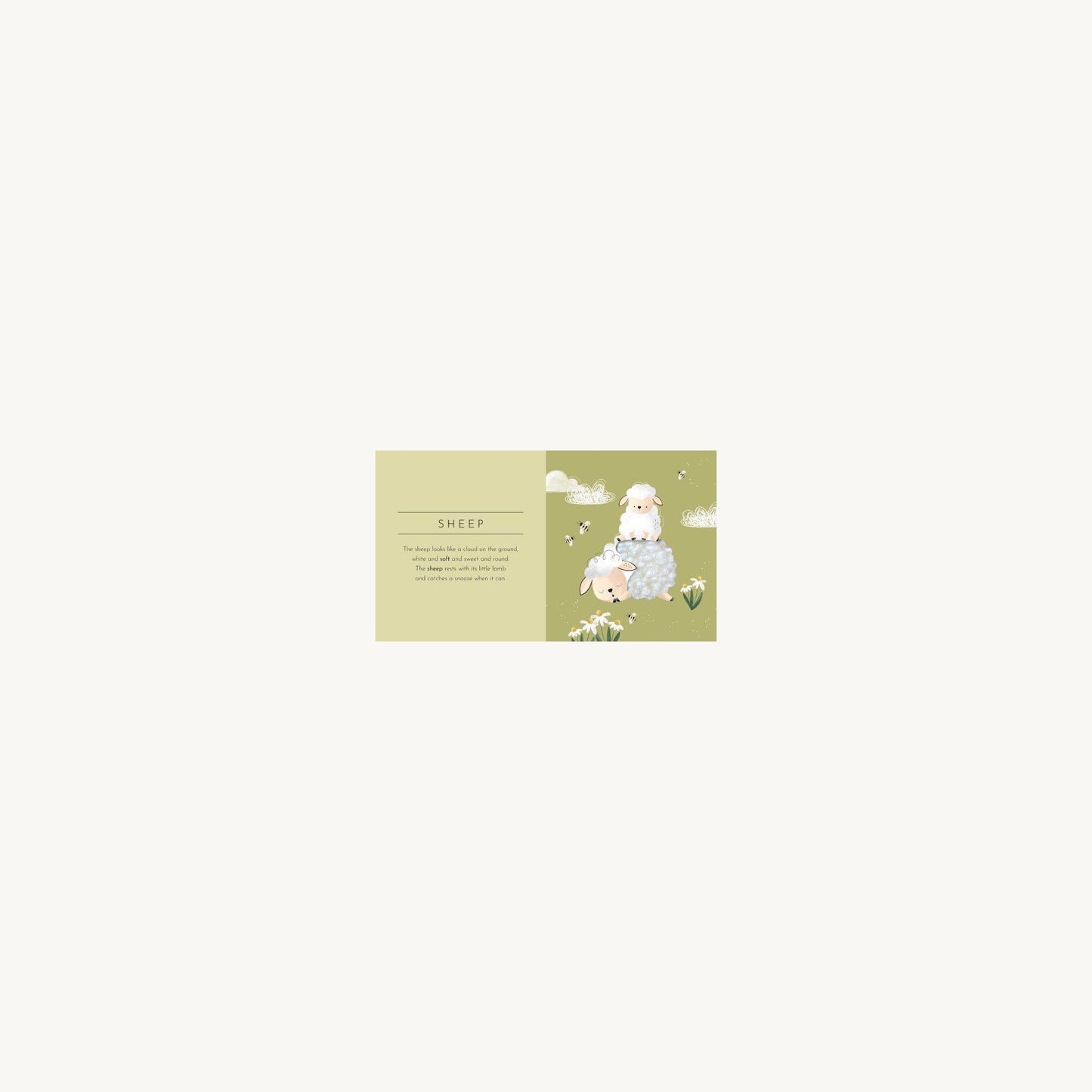 Sassi Junior Touch & Feel Pocket Book Animals | Aster & Ruby