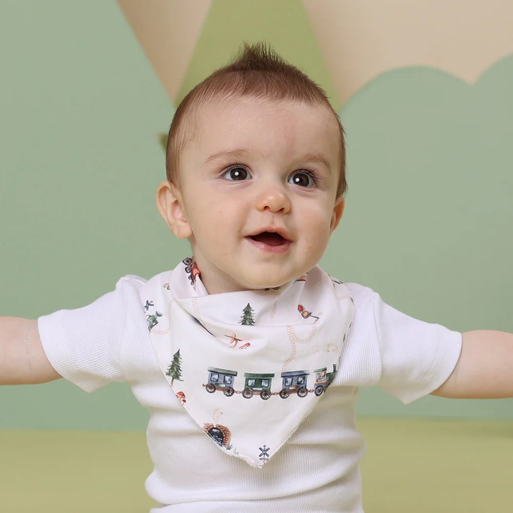 Trains Organic Dribble Bib - Aster & Ruby