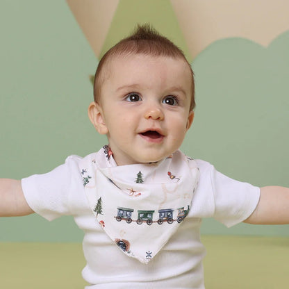 Trains Organic Dribble Bib - Aster & Ruby