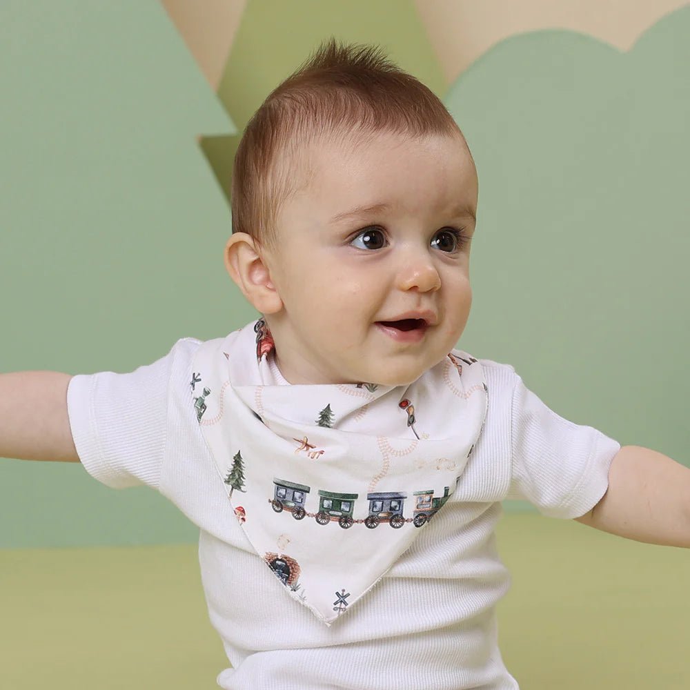 Trains Organic Dribble Bib - Aster & Ruby