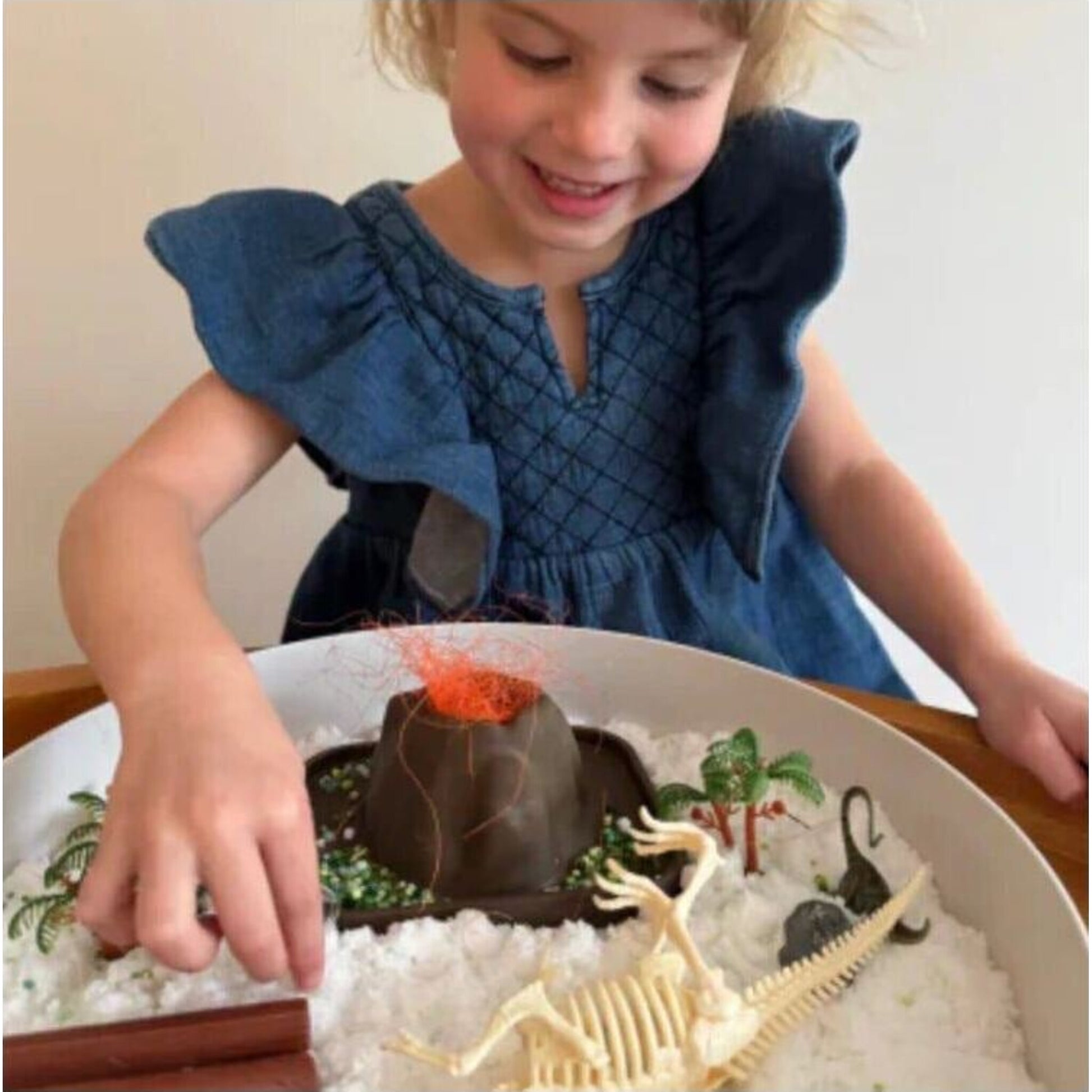 Jellystone Tray Play Bundle Dino | Aster & Ruby