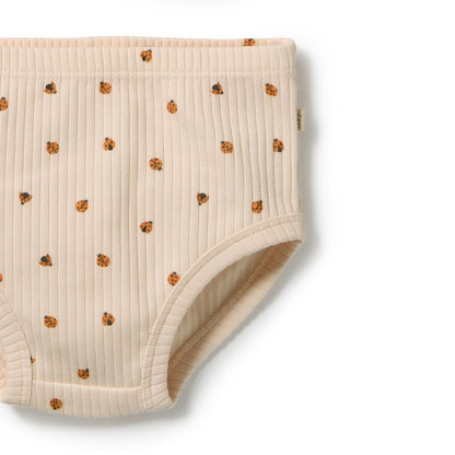 Little Lady Bugs Organic Dress Set
