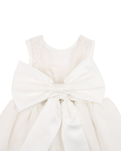 Sara Lace Dress